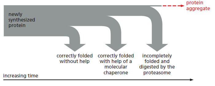 Figure 6-82.png